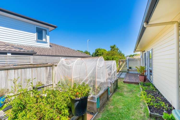 337 Manly Street Paraparaumu Beach_17