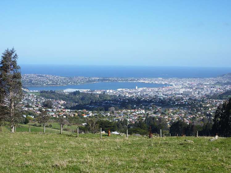 58 Cowan Road Pine Hill_8