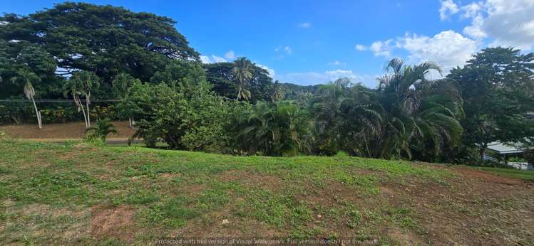 Address withheld Savusavu_14