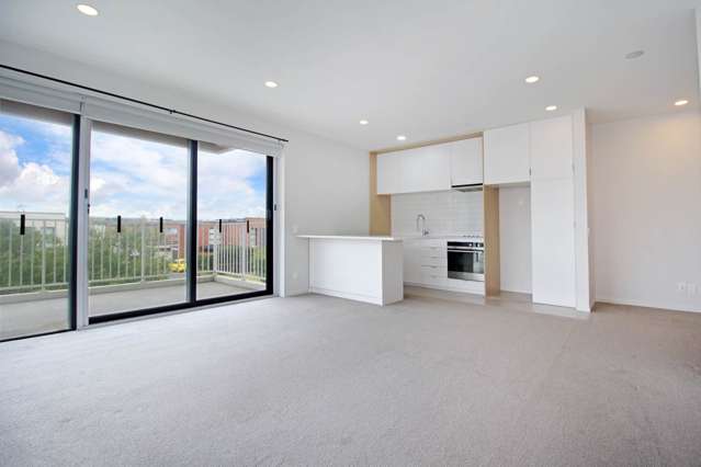 102/3 Bluegrey Avenue Stonefields_1