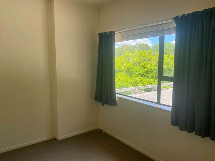 2a Brownlee Place Pukekohe_12