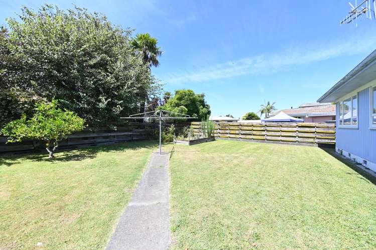 51 York Avenue Tamatea_15