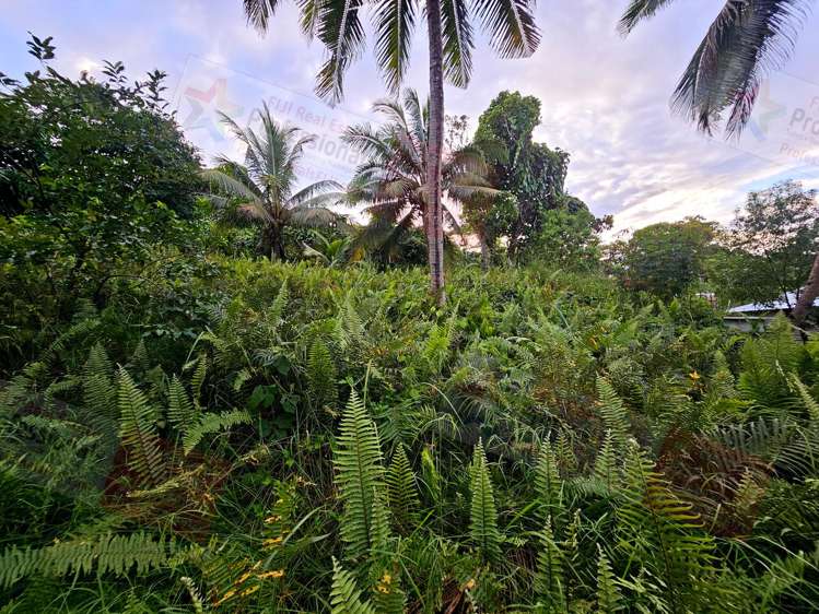 Address withheld Savusavu_16