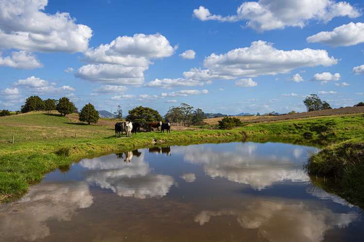 278 Pigs Head Road Hikurangi_0