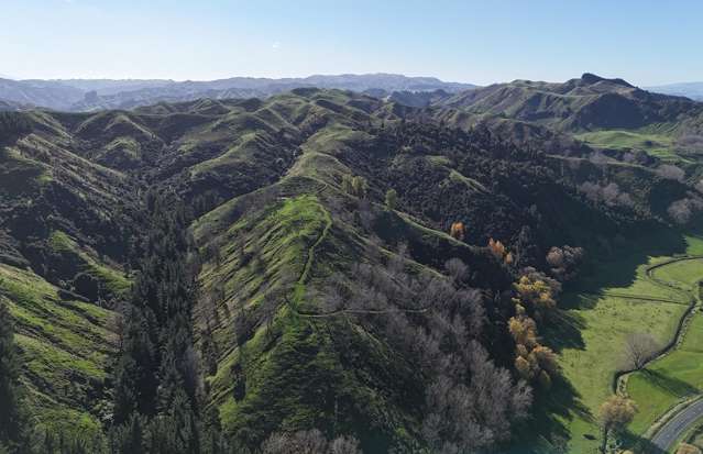 5679 State Highway 1 Mangaweka_3