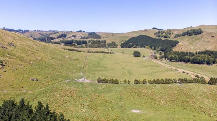 14781 Route 52 Eketahuna_14