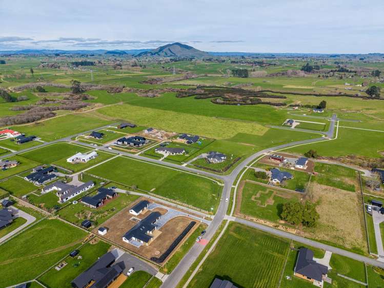 733 Collinson Street Pirongia_45