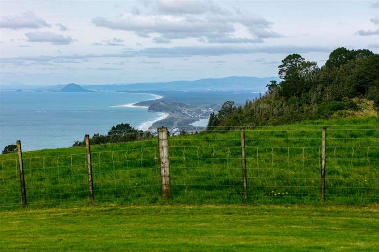 227 Heard Road Waihi_24