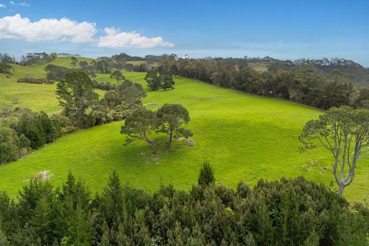 Lot 2/471 Purangi Road Cooks Beach_11