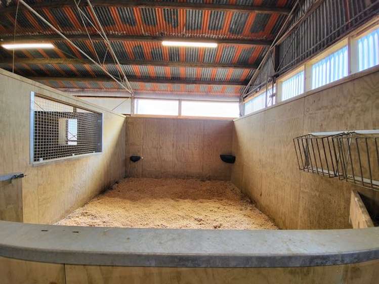 475 Ellesmere Road Lincoln_12