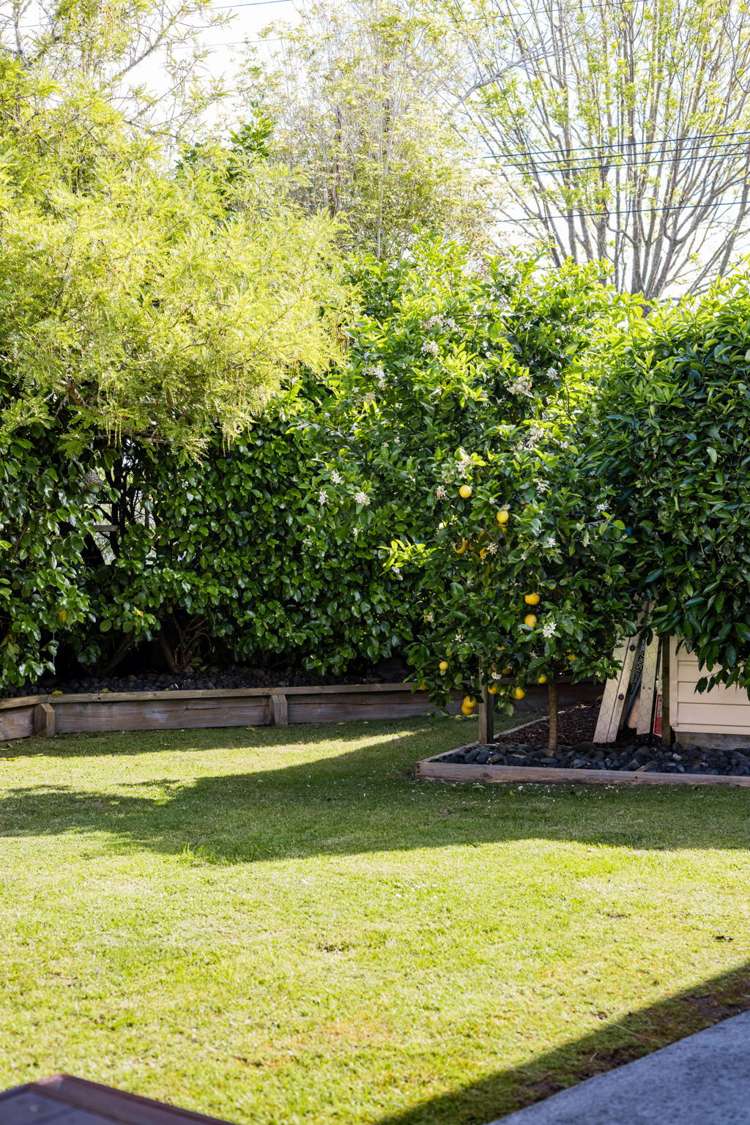 34 Knighton Road Hillcrest_17