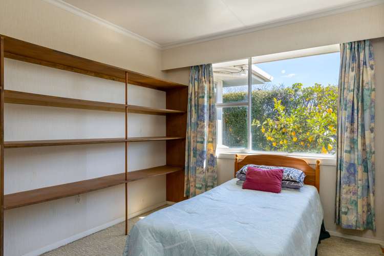 125 Howick Road Redwoodtown_13