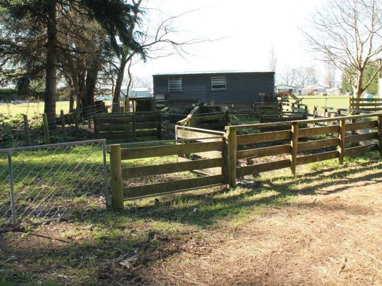 20 Marson Road Winton Surrounds_2