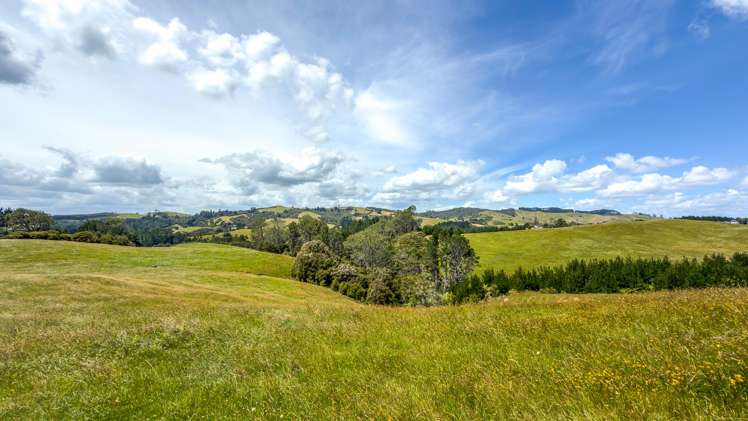 551 Kaiaua Road Kaiaua_15