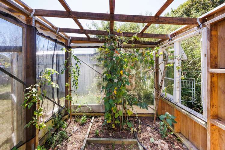 15 Ferry Street Foxton Beach_38