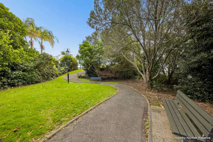 4A Fitzroy Street Ponsonby_12