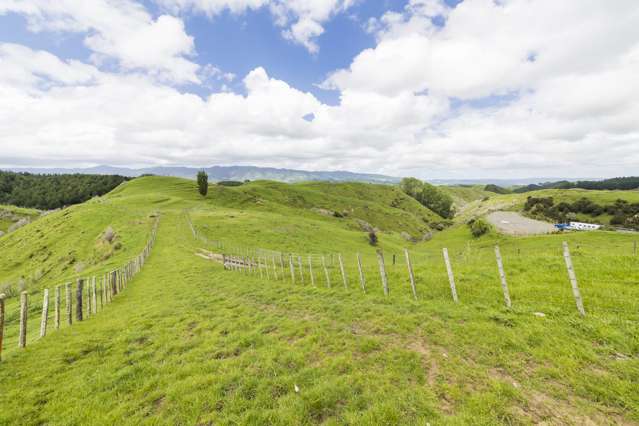 648 Finnis Road Pohangina_4