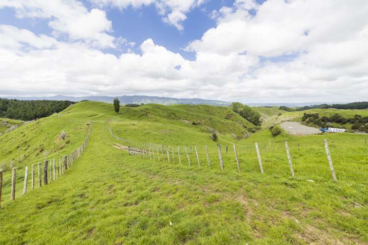 648 Finnis Road Pohangina_4