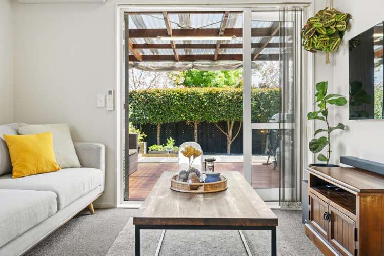 8 Divide Loop Takanini_5