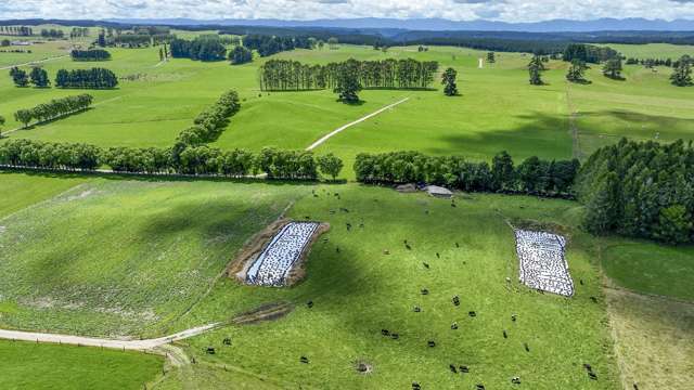 62 Ngamotu Road Rerewhakaaitu_2