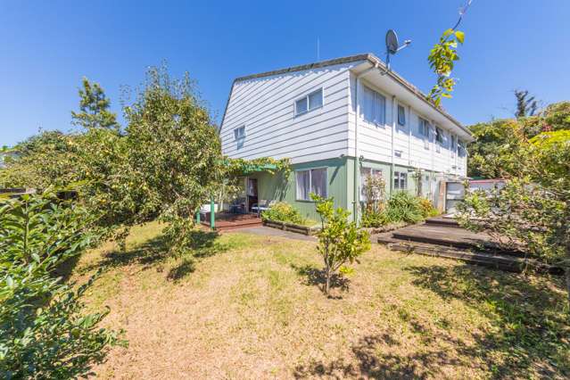 49 Kohekohe Street New Lynn_3