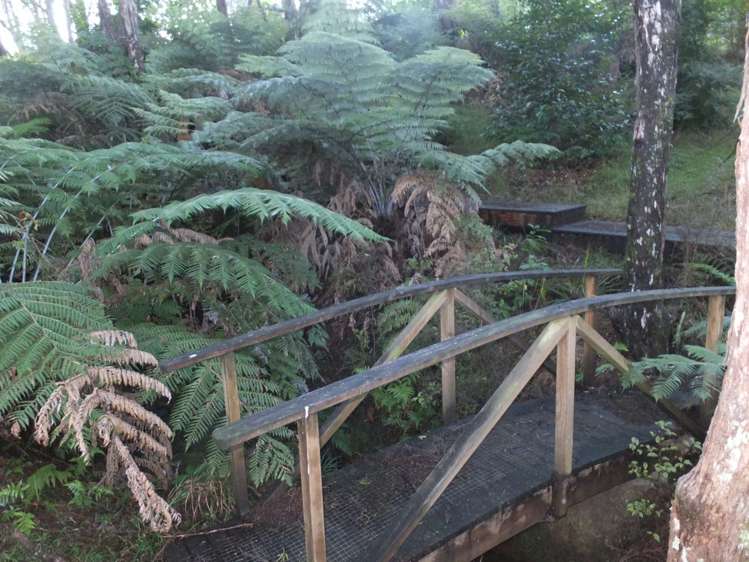 93 Tarapatiki Drive Whitianga_21