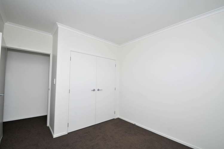 11 Park Avenue Mangawhai Heads_9