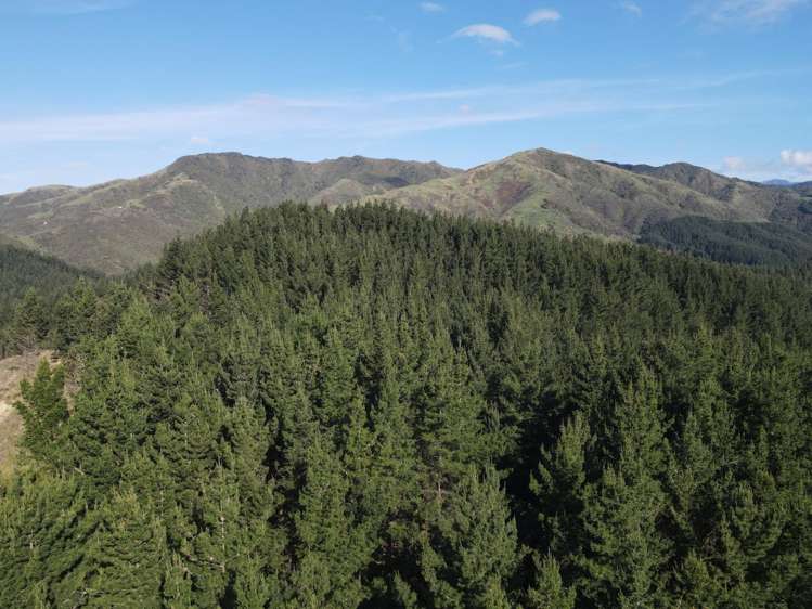 353 Pretoria Road Shannon_10