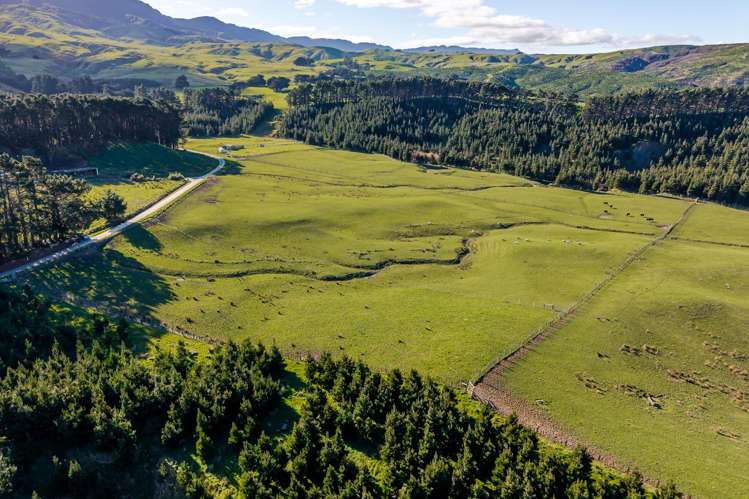 803 Range Road Pongaroa_21