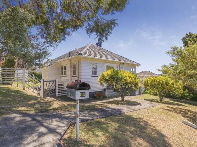 55 Kiwitea Street Sandringham_1