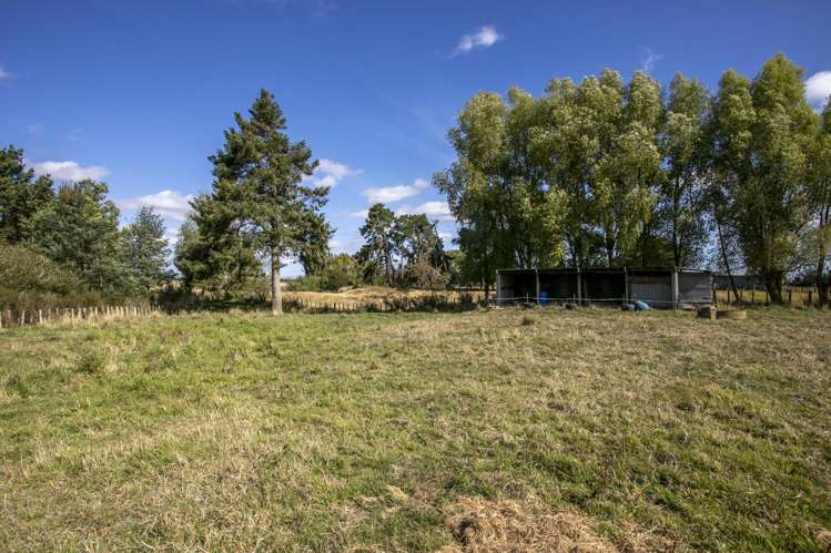 652 Makino Road Feilding_17