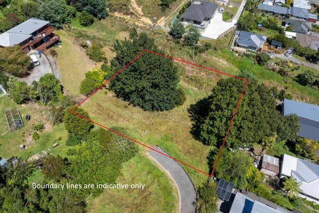 19B Dorset Street Picton_1