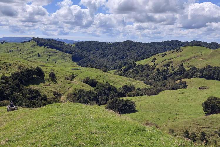 632 Marlow Road Maromaku_19