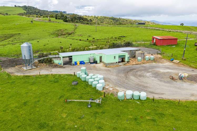 89 Jones Road Donnellys Crossing_11