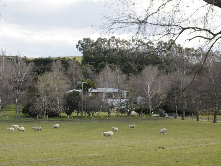 649 Kauru Hill Road Five Forks and Surrounds_63