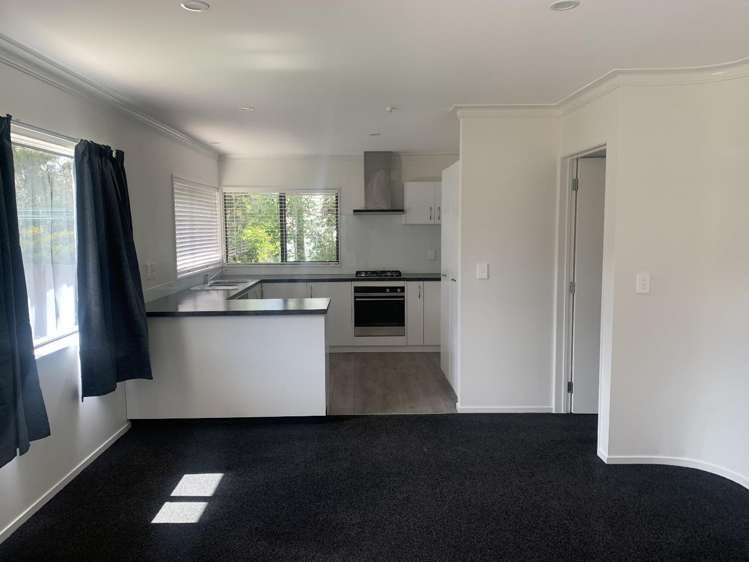 a/100 Waihi Road 11234_2