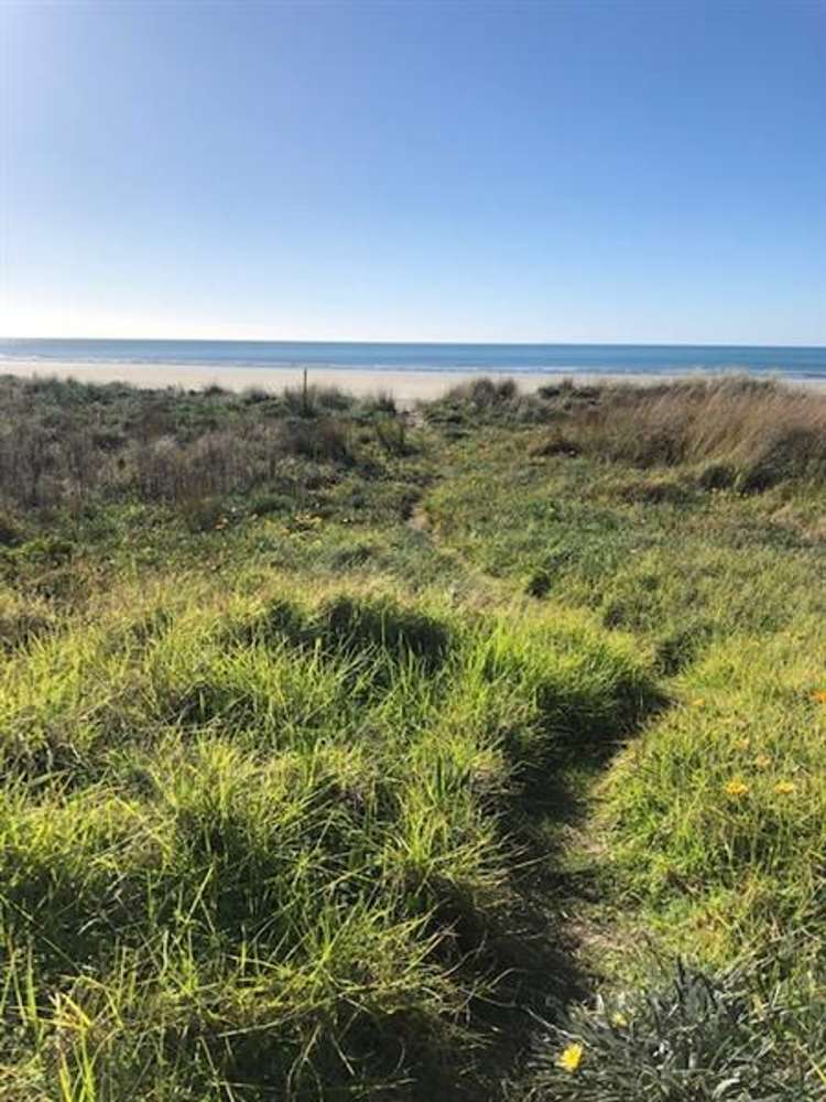 33 Pohutukawa Avenue Ohope_11