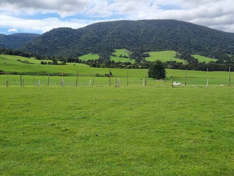 1384 Tahakopa Valley Road Catlins Surrounds_7