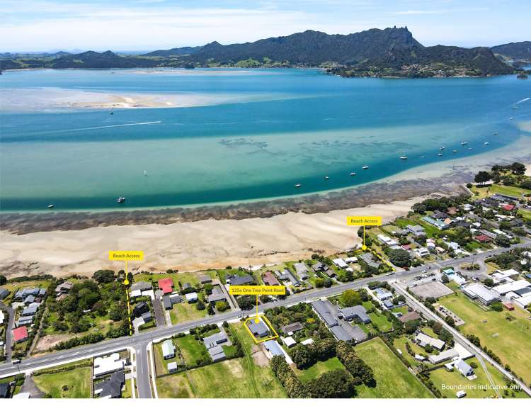 125a One Tree Point Road One Tree Point_22