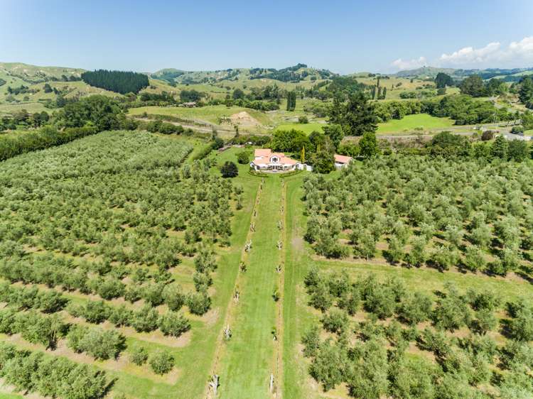 92 Ellis Wallace Road Eskdale_4