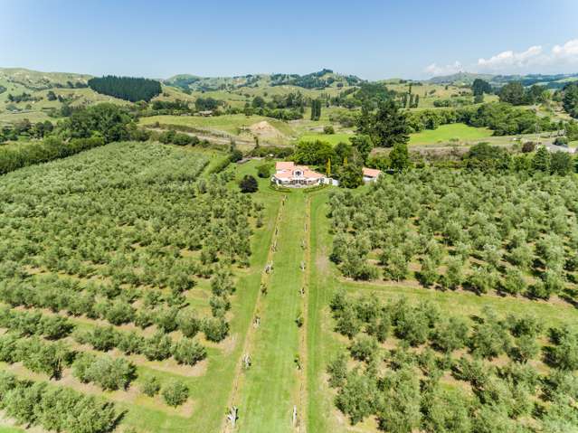 92 Ellis Wallace Road Eskdale_4