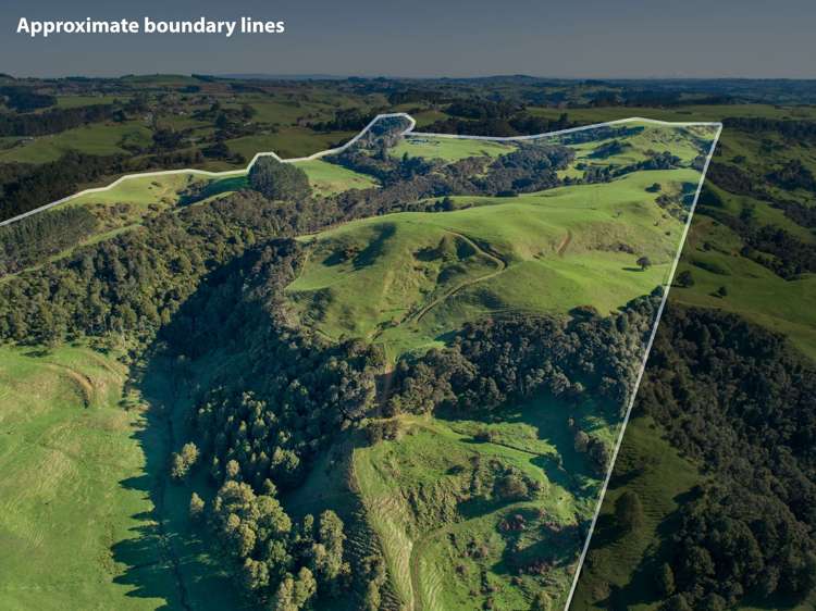 416 Kauri Road Onewhero_15