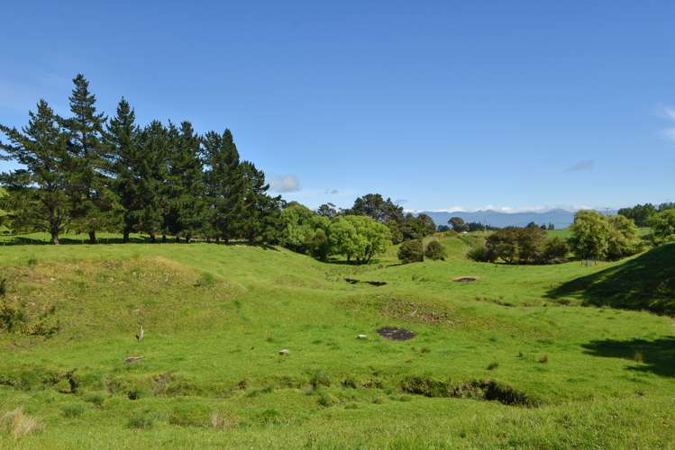 90 Millars Road Longbush_25