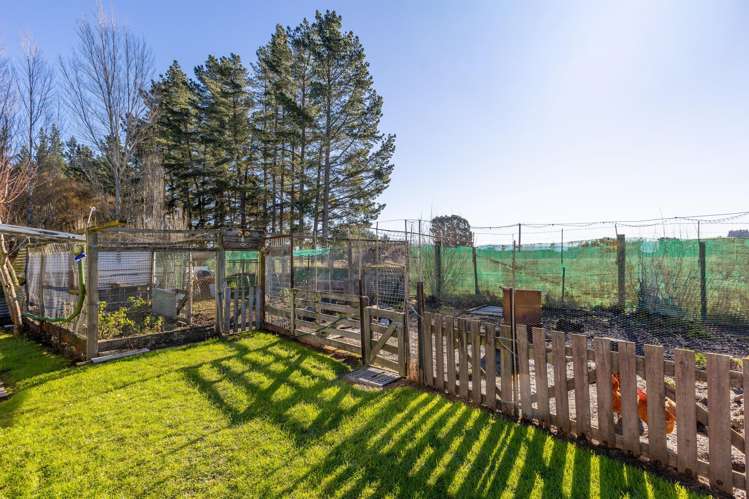 251 Homeview Road Cheviot_22