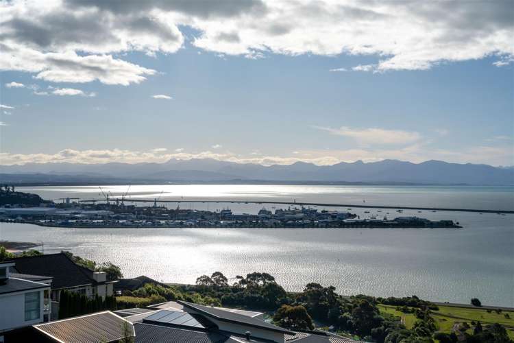 52 Davies Drive Atawhai_21