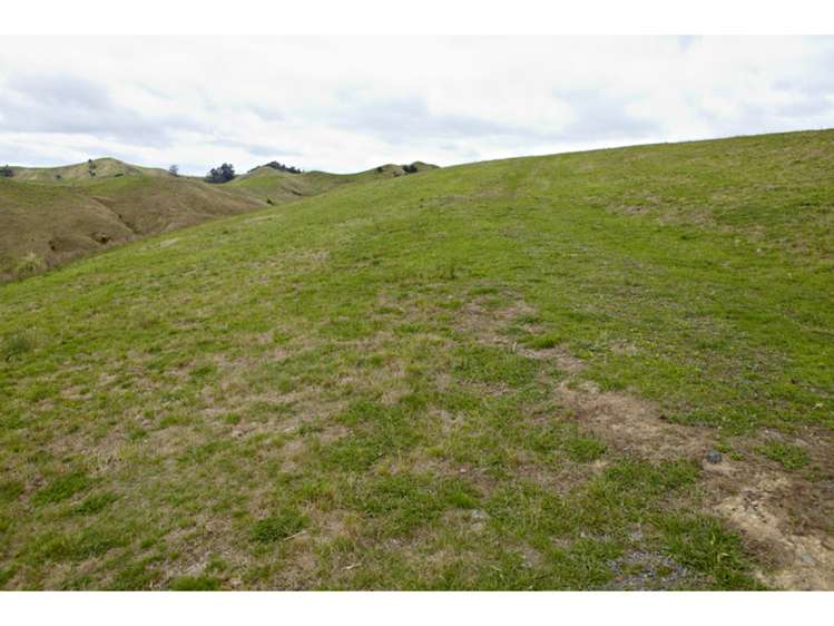 47 Haul Road Tahekeroa_15