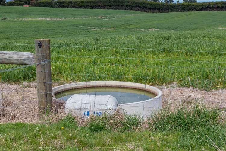 789 Downs Road Hororata_8