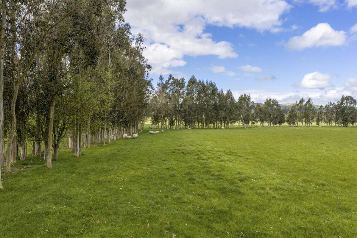 1020 Te Aute Trust Road_1