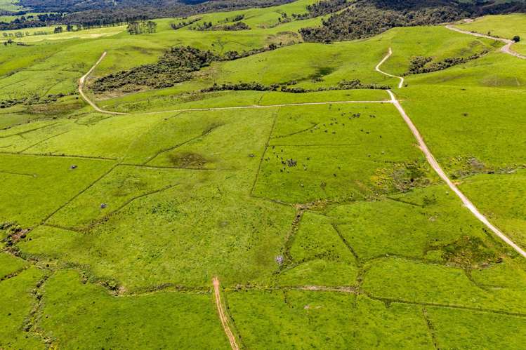 89 Jones Road Donnellys Crossing_16