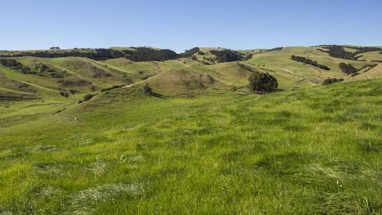 453 Dry River Road Martinborough_18